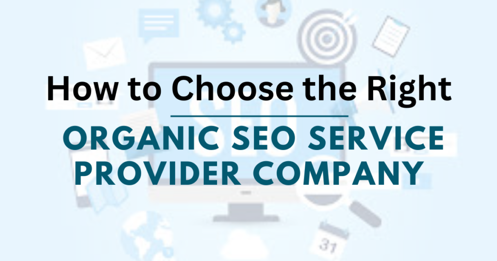 SEO Service Provider Company